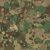 Multicam