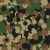 Woodland Camo